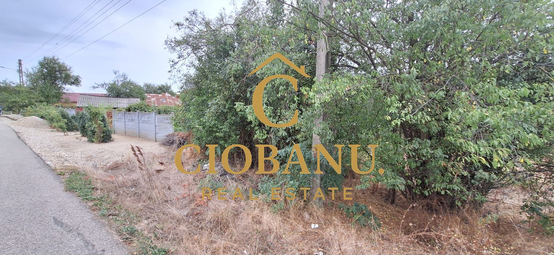 Teren Intravilan/Extravilan de vanzare in Bradestii Batrani - Poză 5