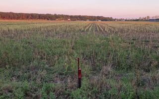 Teren de vanzare|Ciolpani |Utilitati si acces facil in Bucuresti - Poză 5