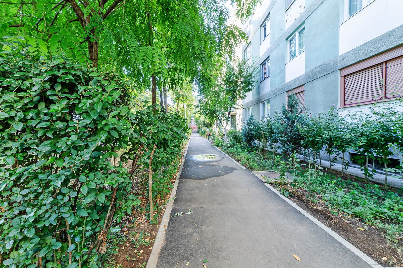 Apartament 2 camere  Calea Romanilor - Poză 11