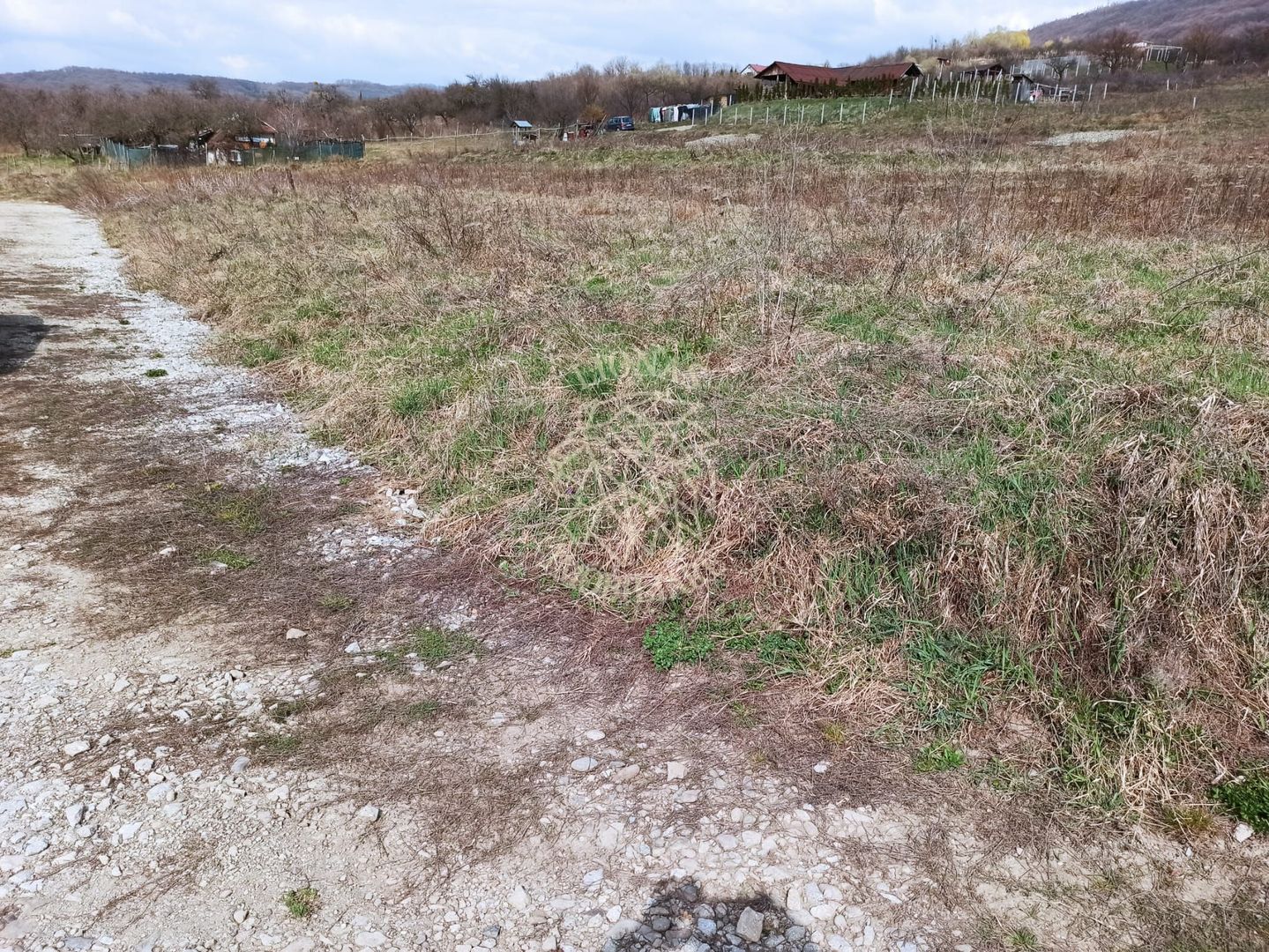 Teren intravilan 500 mp-ideal casa-Zona Dr. Tarpiului - Poză 3