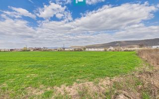 Teren extravilan, 1 ha, în orașul Sebiș, Arad - Poză 3