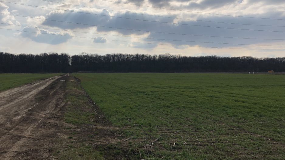 TEREN DUMBRAVITA -ZONA LAC - Poză 2