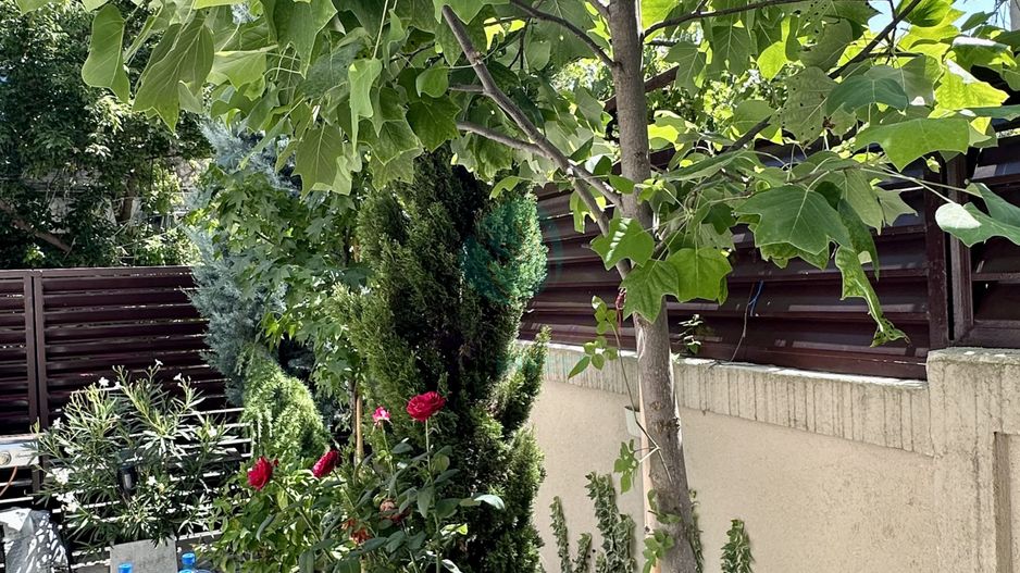 Casa renovata in zona Vatra Luminoasa - Poză 14