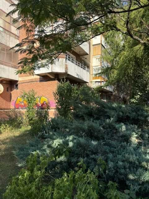 Bd Coposu( Pirvan) Apartament 1 camera - Poză 5