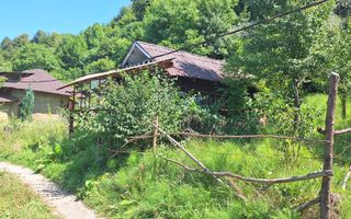 VANZARE ANSAMBLU CASUTE BRADULET ARGES - Poză 20