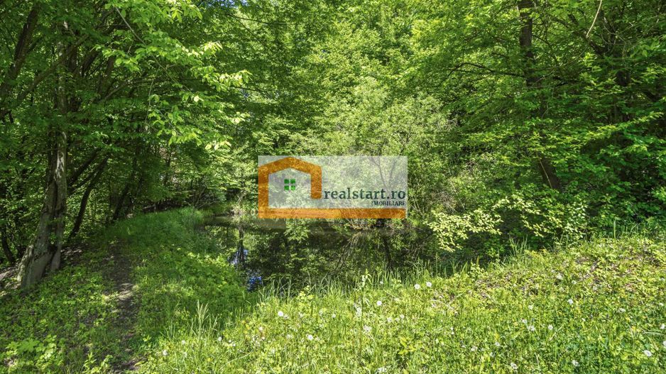 Oportunitate, Restaurant cu MiniPensiune 800mp, 1,8ha teren, Via Transilvanica - Poză 64