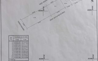 Teren intravilan de vânzare, Cristești-Brăești, Iași, 2.650 mp - Poză 1