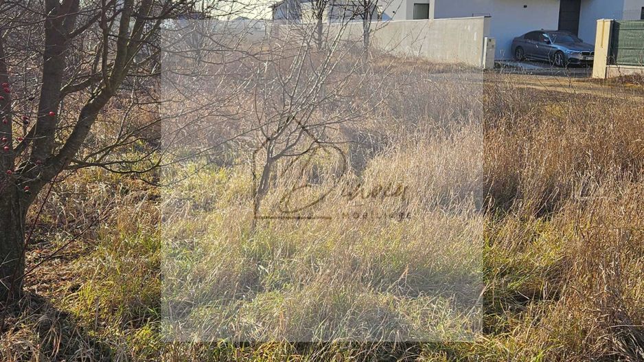 Teren Campul Pipera 425 mp plus 68 mp cota drum pentru constructie - Poză 3