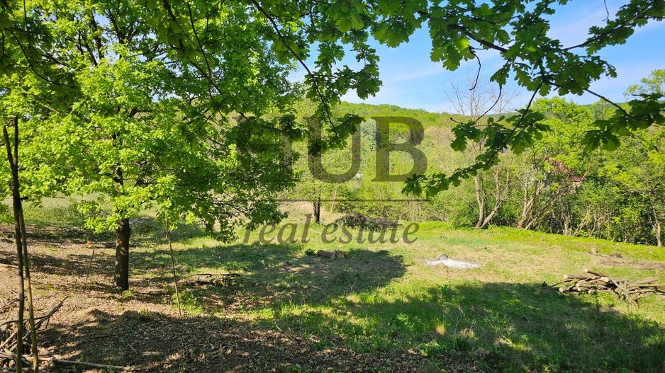 Teren intravilan | langa padure si parau | Luncani/Bacau - Poză 1