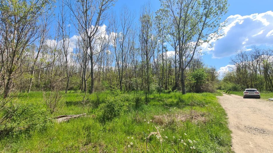 Teren de vanzare / Dem Radulescu - Poză 7