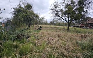 Vânzare teren intravilan 2800 mp – Baia Sprie, cartier de case - Poză 4