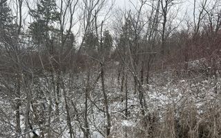 Teren extravilan/ fostă livadă/ zona Bucium, Iași - Poză 4