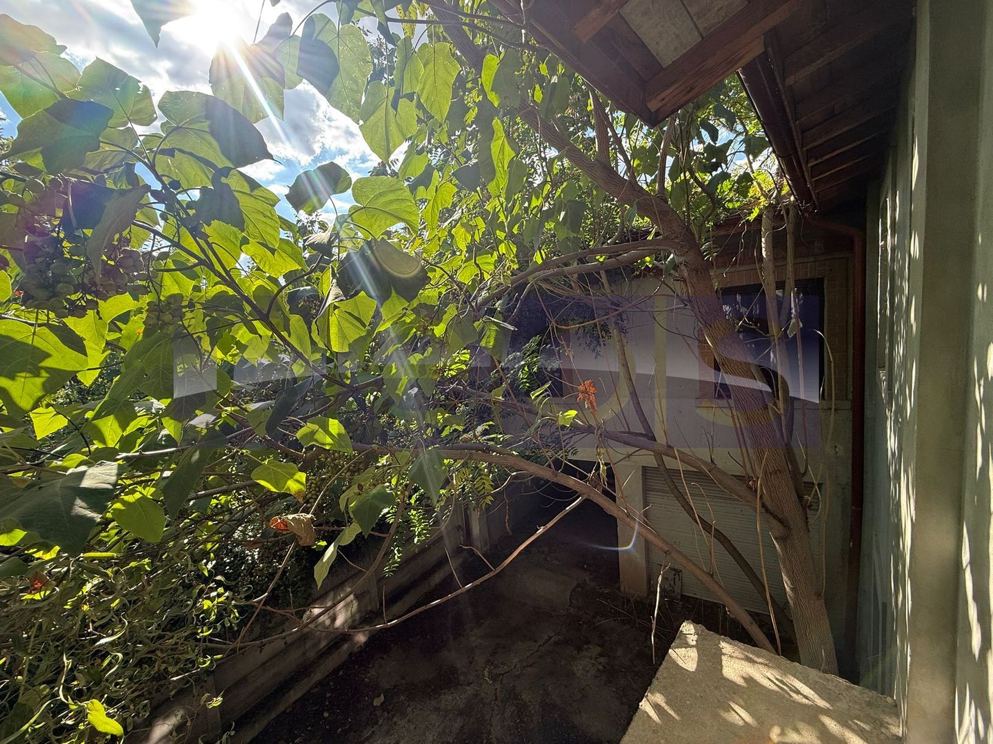 VANZARE VILA INTERBELICA | VIITORULUI | 374MP | CURTE 260MP | - Poză 36