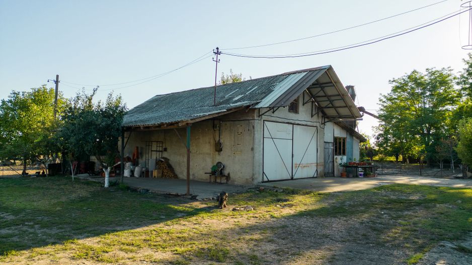 Hală industrială cu multiple destinații în Nădlac - Poză 66