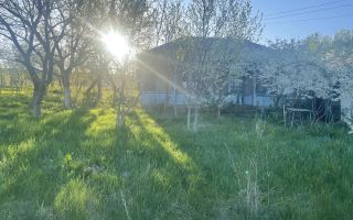 6.000 mp intravilan sat Avintu - Poză 2