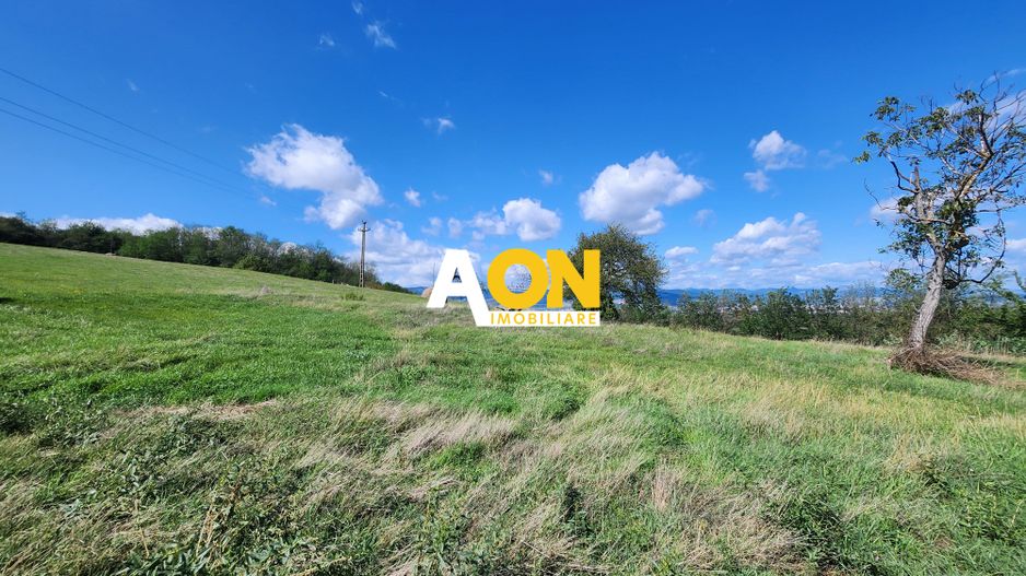 De vanzare 2965 mp teren intravilan, toate utilitatile, Oarda de Sus - Poză 4