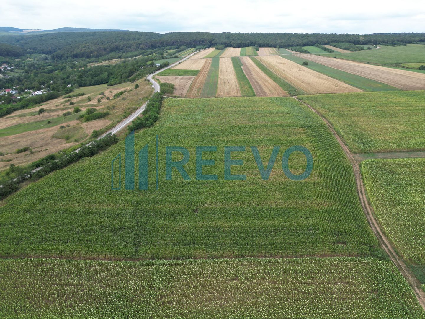 Teren de 3.600 mp Racova - Poză 3