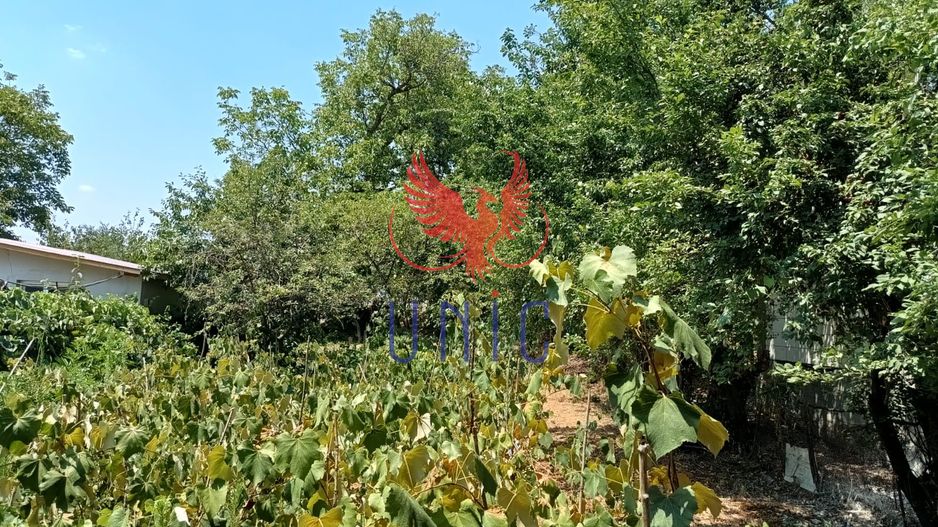 Teren 980 mp, 2 deschiderizona Drumul Muntenilor pret excelent - Poză 2