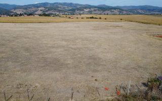 Teren pentru contructii industriale (hale, depozite), aproape de Sebes - Poză 5