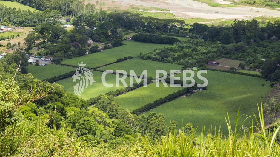 Teren Bulevardul Theodor Pallady - Poză 1