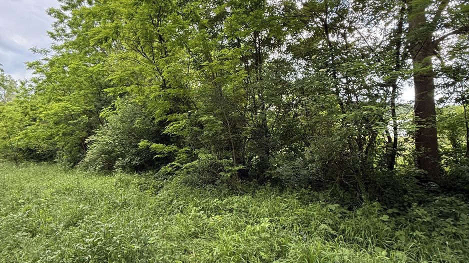 Teren intravilan 683 mp deschidere la strada asfaltata ! - Poză 7