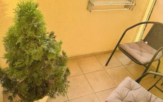 Apartament 2 camere I 50 MPU  I Turnisor-Cartierul Alma - Poză 7