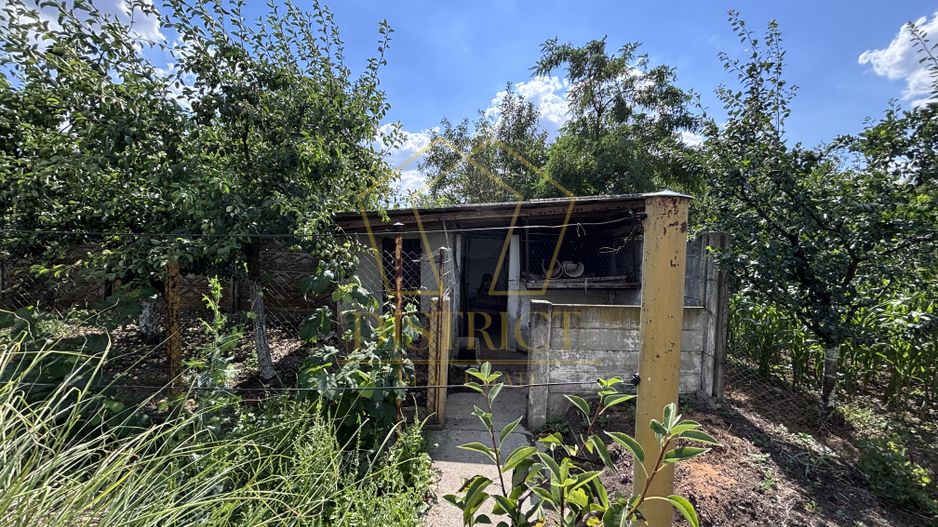 COM 0% Casa individuala 151mp | Teren 1323mp | Garaj 60mp | Ciacova - Poză 3