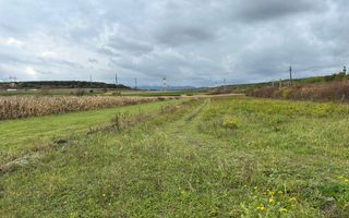 Teren extravilan | 3700 mp | Deschidere la DN | Intrare Vestem – Sibiu - Poză 7