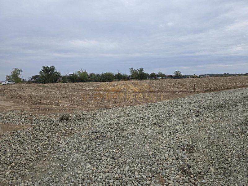 Oportunitate de investitie! Comuna Berceni/Vidra - Poză 4