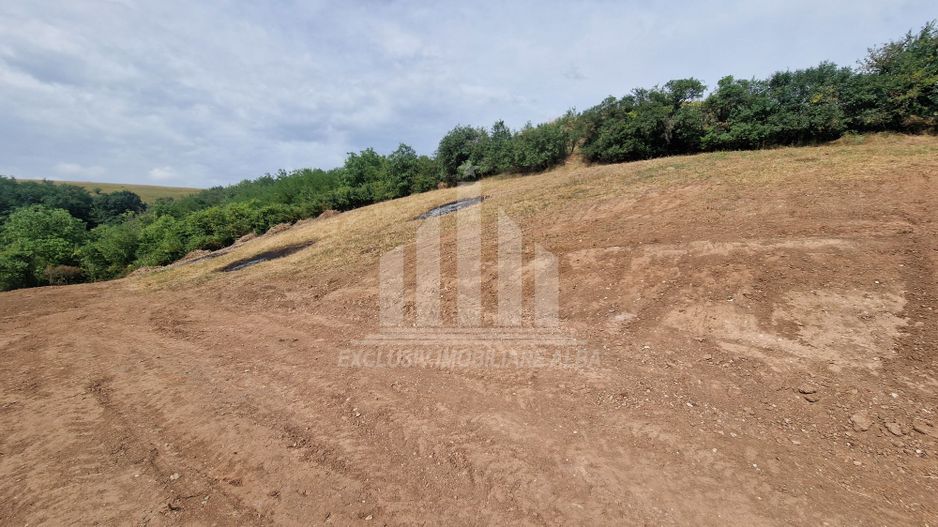 Teren intravilan intre Micesti si Sard - Poză 3