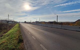 Hala de vanzare in Racarii de Jos - Poză 18