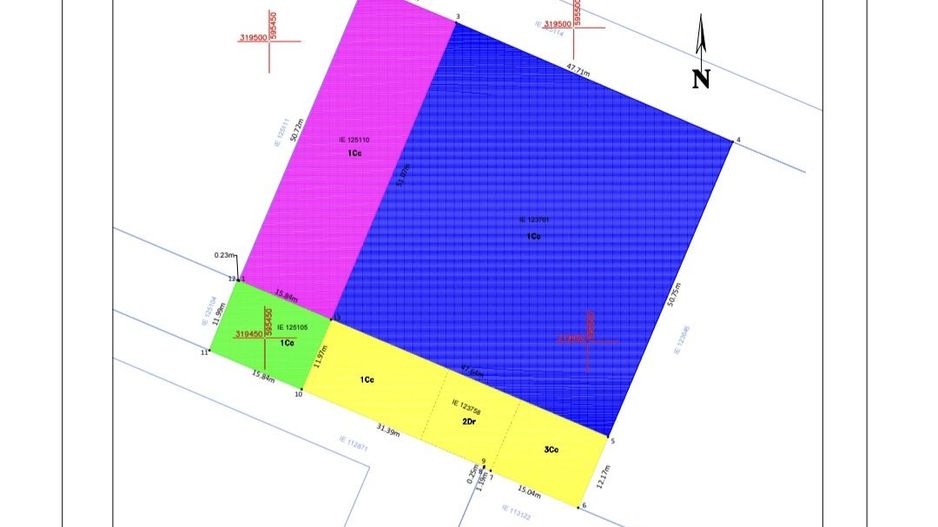 Teren intravilan 3996 mp - Danubiana - Popesti Leordeni - Poză 3