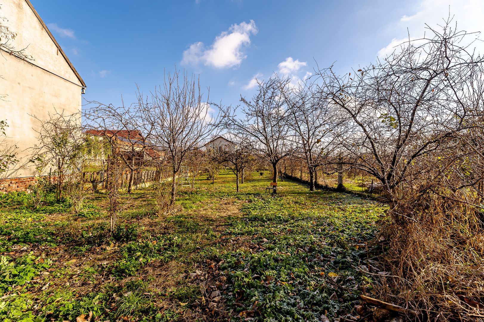 Locuință spațioasă cu grădină mare în Aradul Nou, calea Timișorii - Poză 9