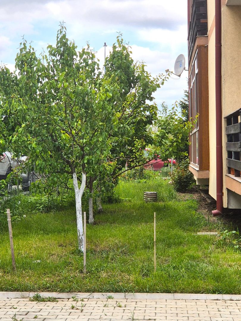 Tractoru, zonă liniștită de case, apartament spațios 3 camere cu garaj - Poză 21