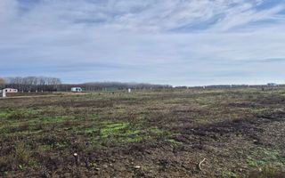 Loturi de teren 638 mp - curent tras la teren - Crevedia - Poză 4