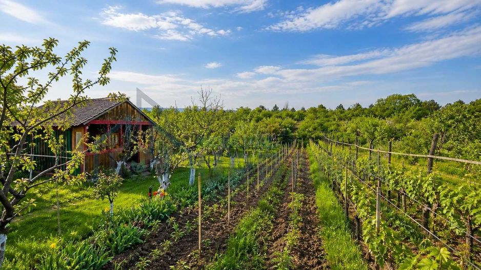 Teren intravilan 1500 mp, Tomesti – Chicerea, 10 km de Iasi, utilitati la limita - Poză 1
