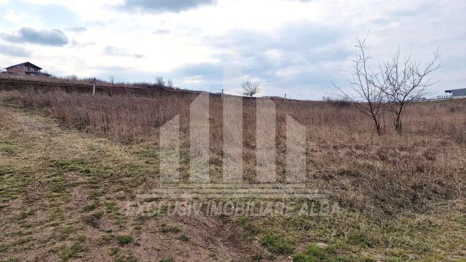 Teren intravilan de vanzare in Limba - Poză 3