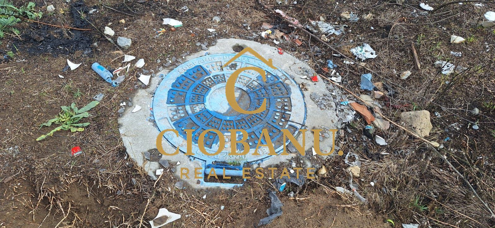 Teren de vanzare in Craiova zona Cernele - Poză 12