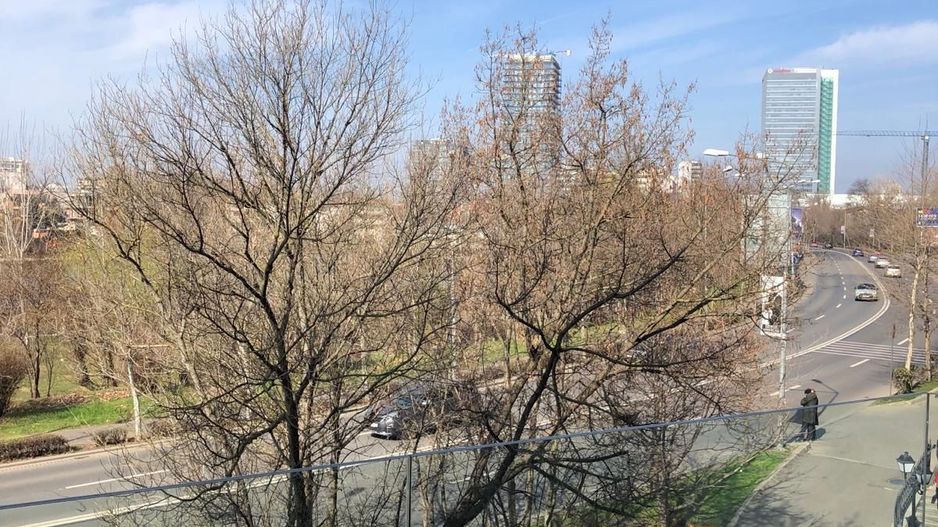 Apartament superb High End 4 camere I Calea Floreasca - Poză 4