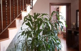 De Inchiriat Vila 5 Camere Parc Ronda - Matei Voievod sector 2 - Poză 9