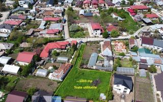 TEREN RAR DE 1.003 MP – O OAZĂ DE VERDEAȚĂ ÎN MIJLOCUL COMUNEI BERCENI - Poză 3
