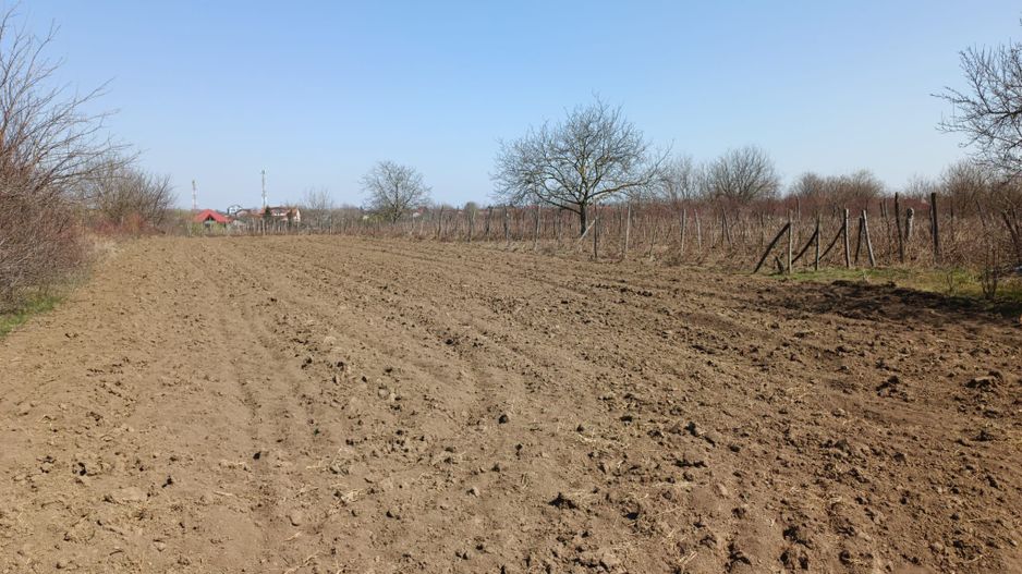 Teren extravilan 2400 mp in Afumati - Poză 2