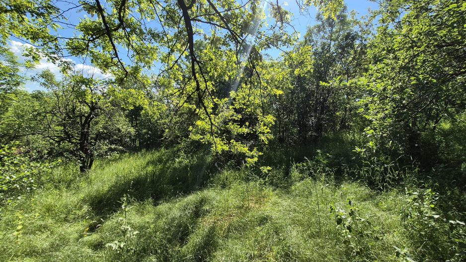 Teren intravilan 1290 mp Plaiu-Provita de Sus - Poză 12