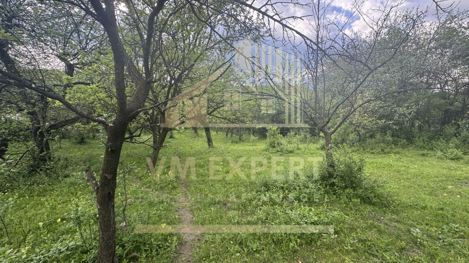 TEREN INTRAVILAN 7018 MP CAMPULUNG - Poză 18