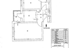 APARTAMENT 3 CAMERE/ VOINEASA - Poză 10
