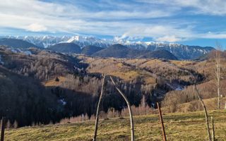 Refugiu în Inima Munților I Casa in Moeciu I Bran - Poză 14