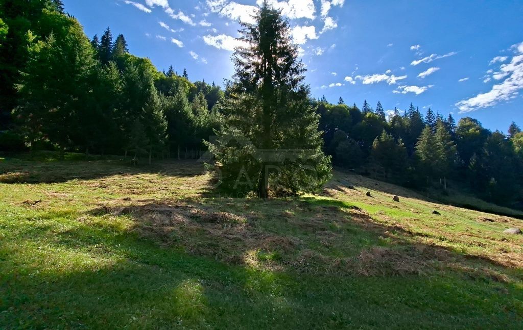 Teren intravilan la munte - Poză 1
