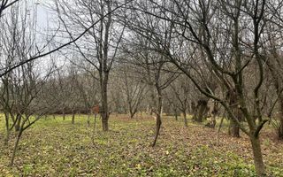 CABANA MODERNA 300 mp 🌲 - Poză 6