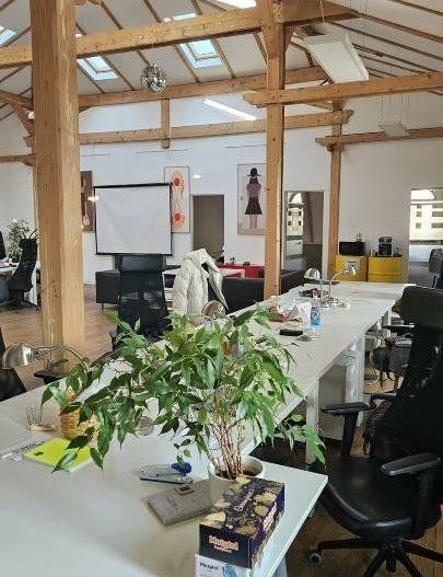 OPEN SPACE - MANSARDA DE INCHIRIAT UNIVERSITATE-ROSETTI-3900 EURO+TVA/LUNA - Poză 11