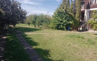 PROPIETAR URGENT Casa duplex BRAN arpox 300m utili, 1300mp teren - 2 case la pret de 1 apartament !! - Poză 6